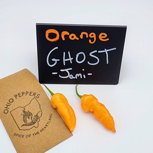 Orange Ghost JAMI