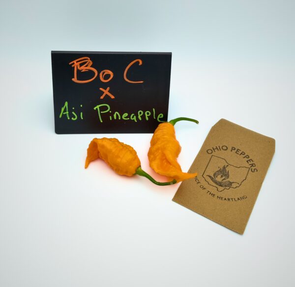 BOC x Aji Pineapple