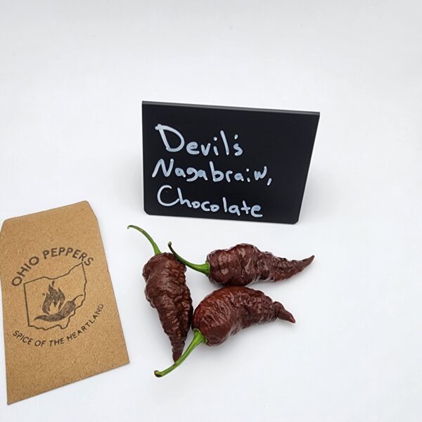 Devils Nagabrain, Chocolate