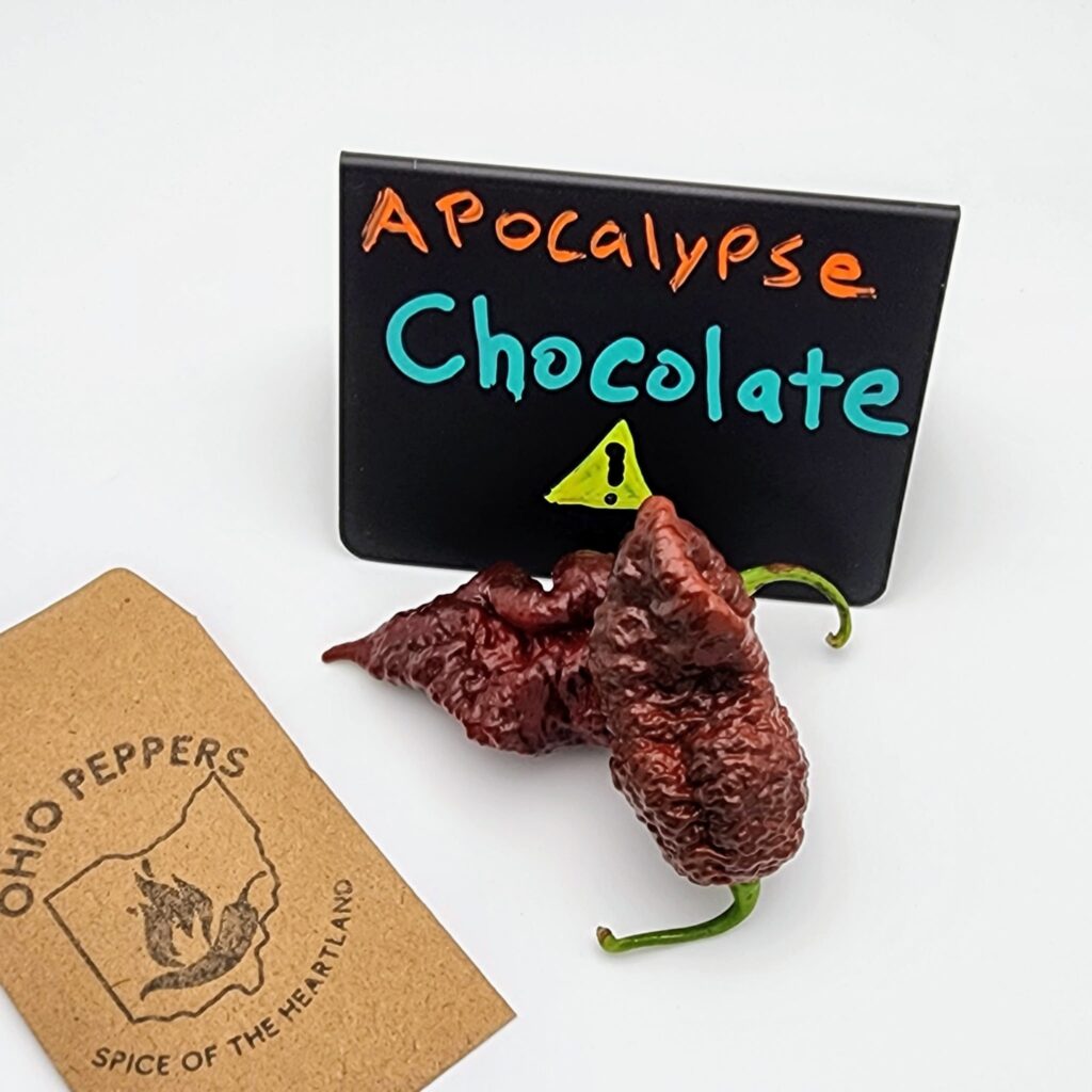 Apocalypse Chocolate - Ohio Peppers