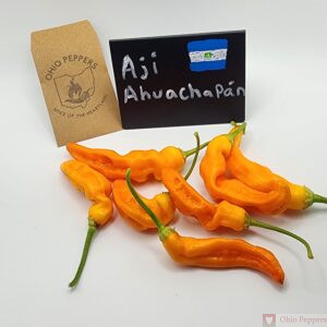 Aji Ahuachapan