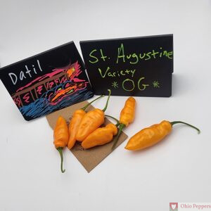 Datil OG