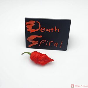 Death Spiral Pepper Seeds