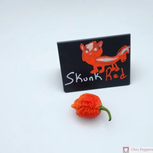 Skunk Red Seeds