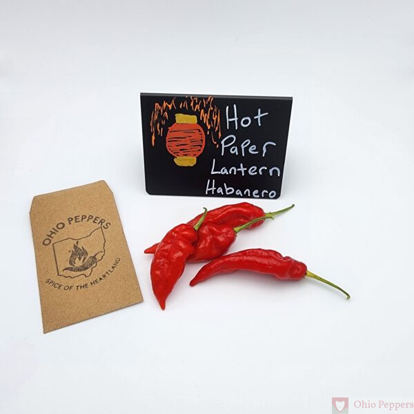 Hot Paper Lantern - Ohio Peppers