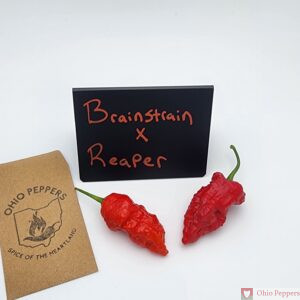 brain strain x reaper