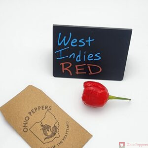 West Indies Red