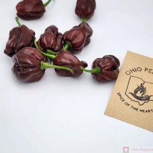 Chocolate Habanero