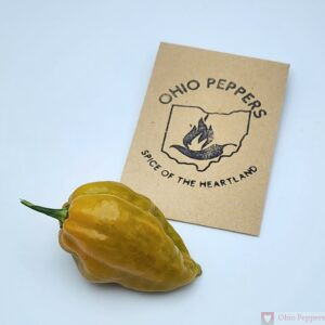 Elysium Oxide Scotch Bonnet