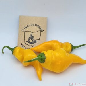 067 Yellow Monkey Face