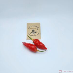 Point Pleasant Seeds Red