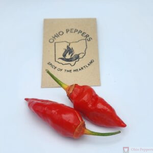 Point Pleasant Seeds red