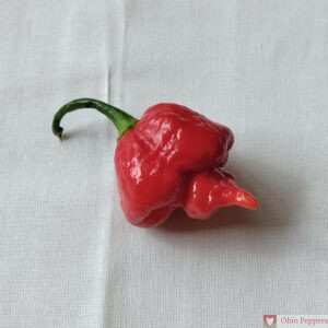 Carolina Reaper - OhioPeppers.com