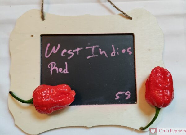 west indies red fruit
