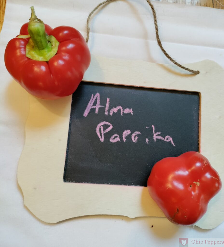 Alma Paprika