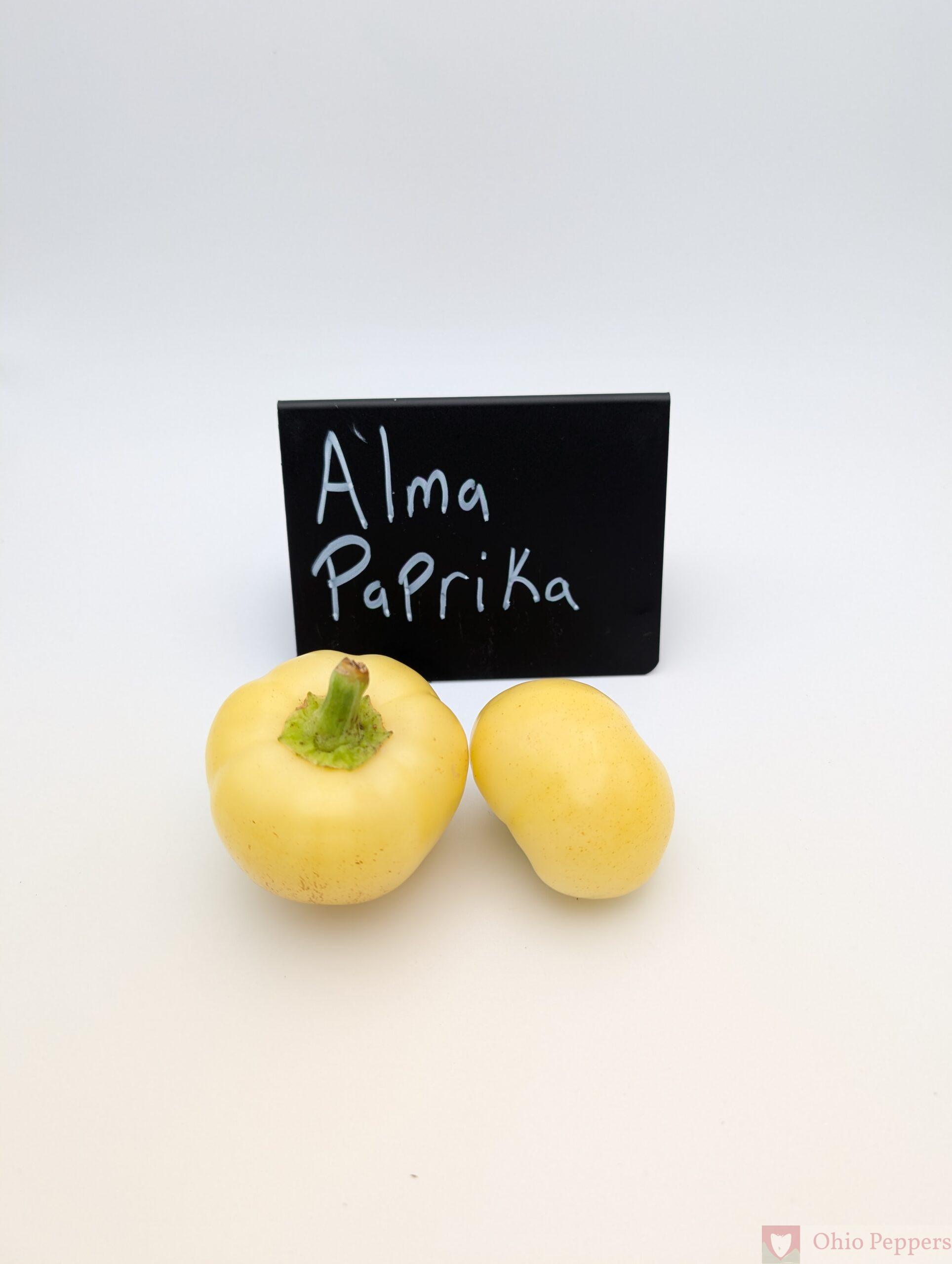 Alma Paprika - Image 3