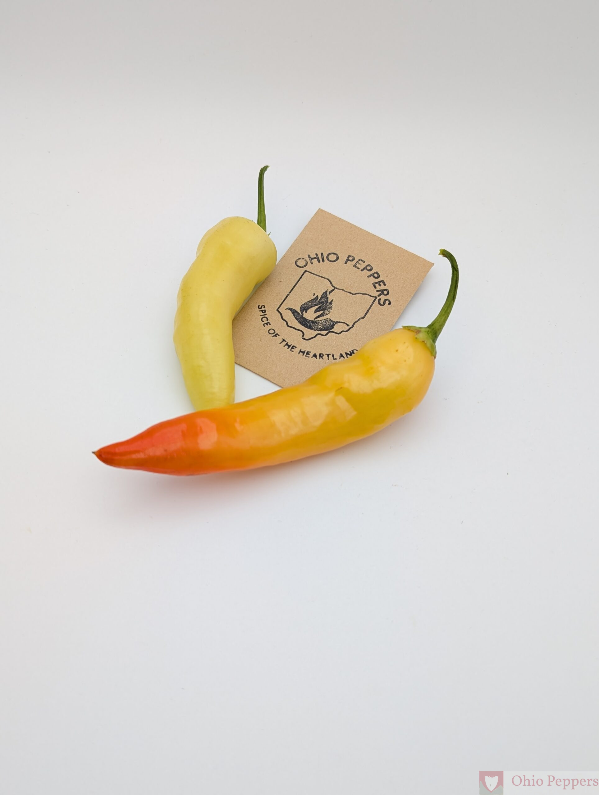 Aji Cristal - Image 8