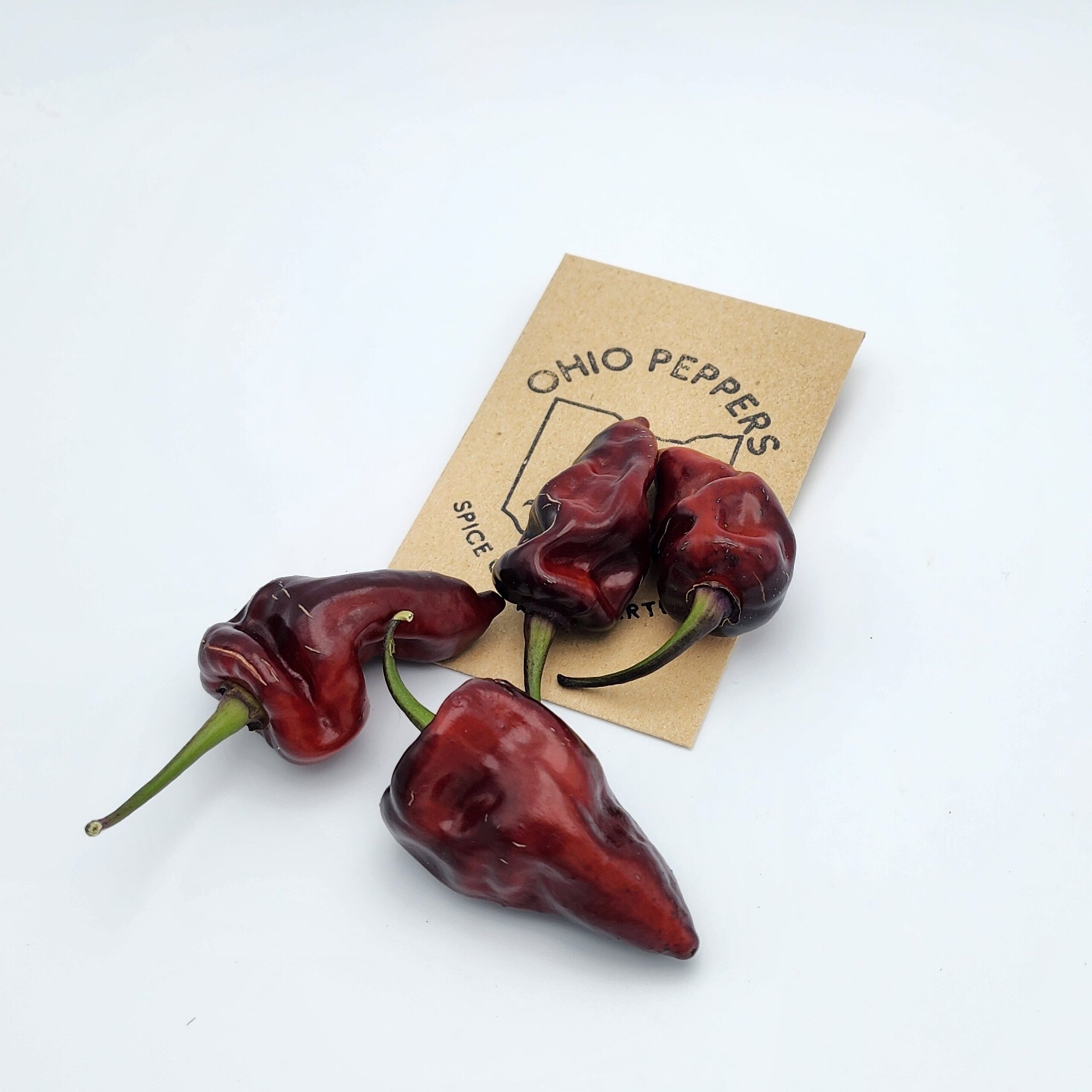 Naga Smooky Rainbow - Image 9