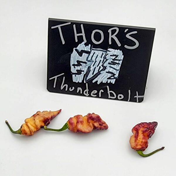 Thor's Thunderbolt