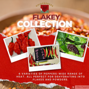 Flake Collection