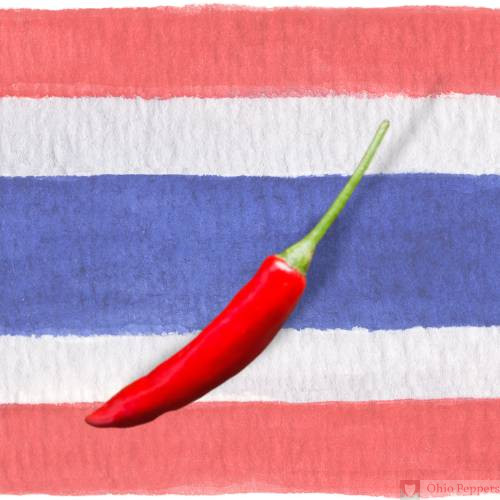 128 Thai Pepper