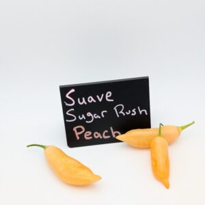 Sugar Rush Peach - Suave