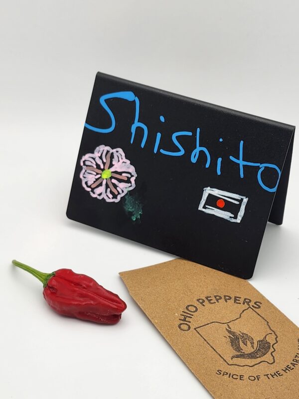 Shishito Pepper