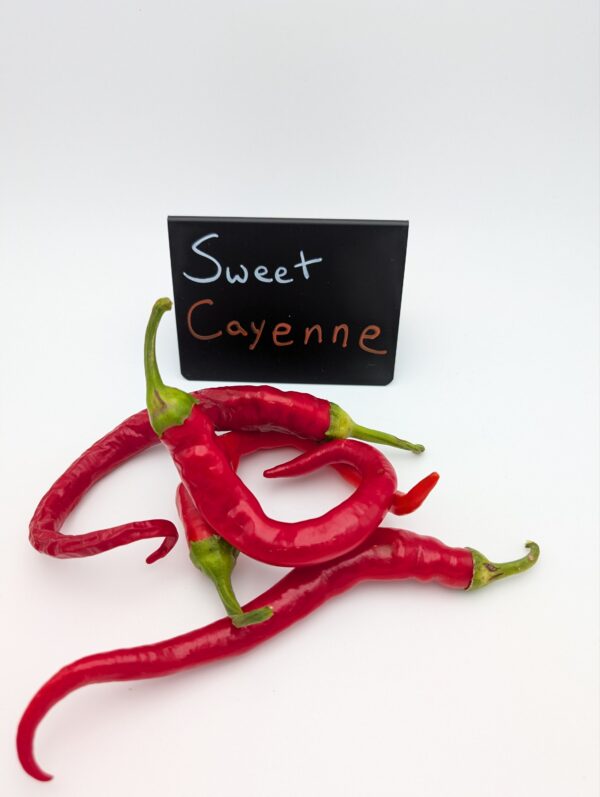 Sweet Cayenne