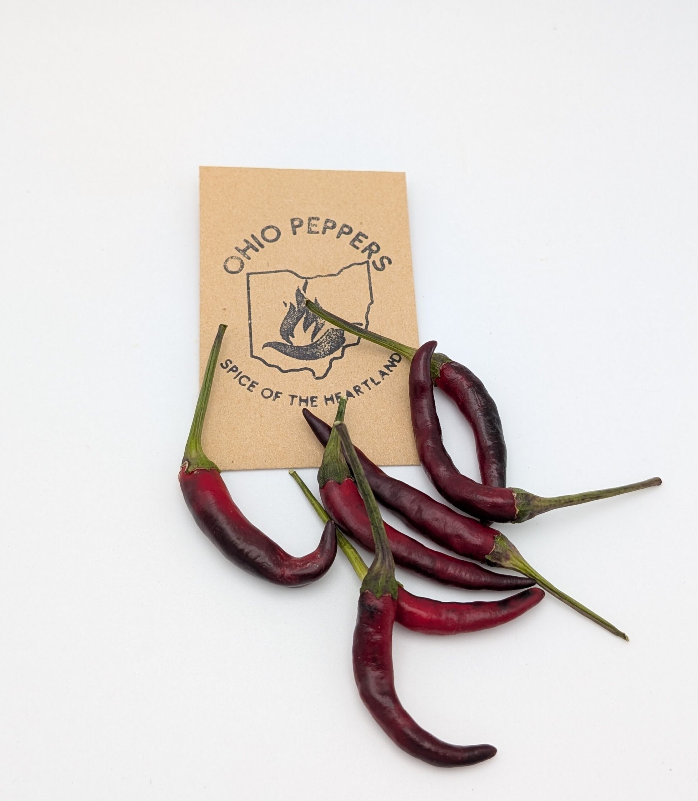 Black Thai - Image 2