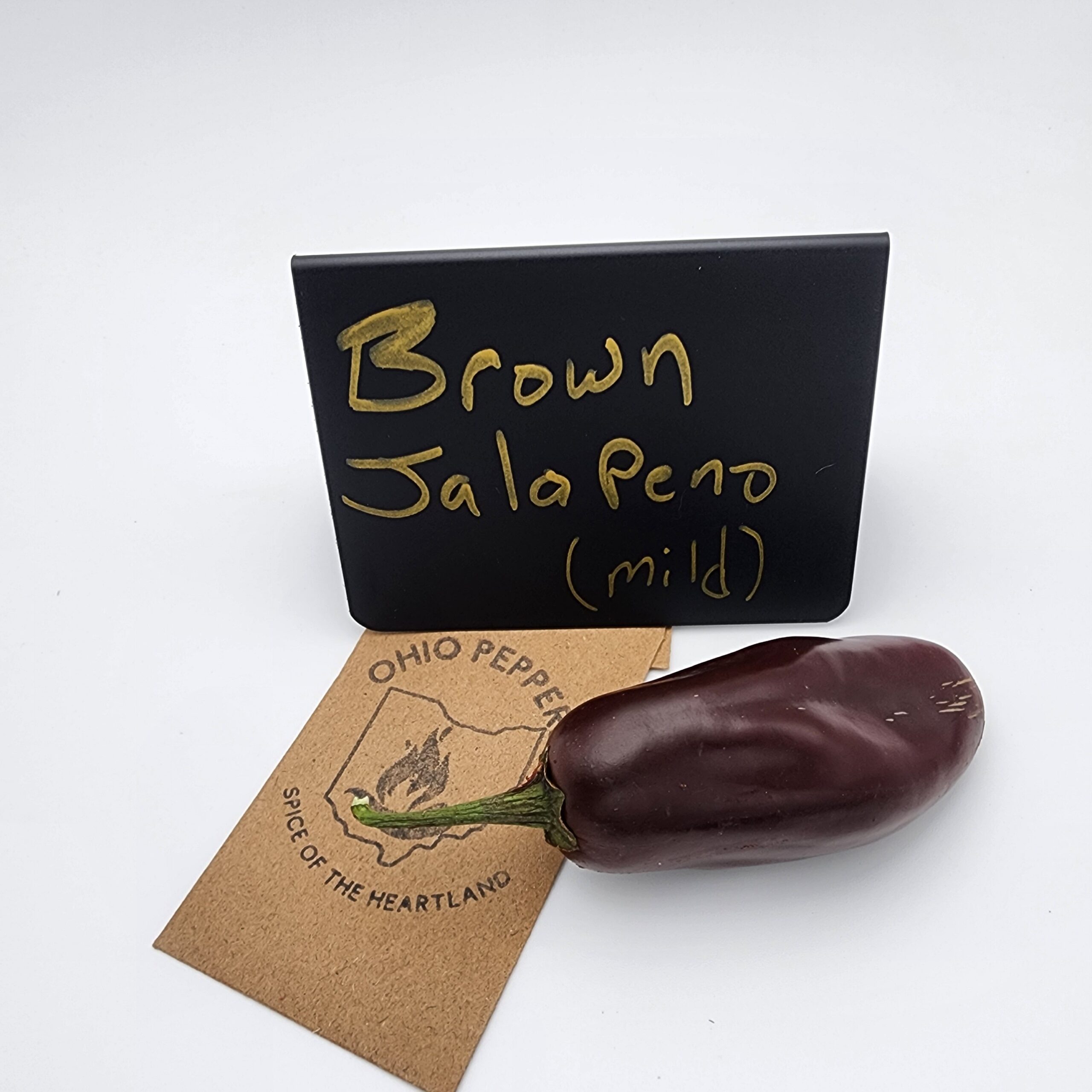 Brown Jalapeno - Image 3