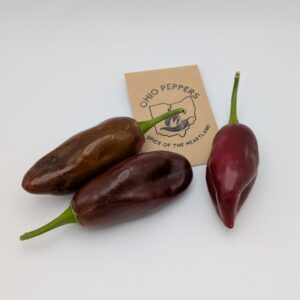Brown Jalapeno