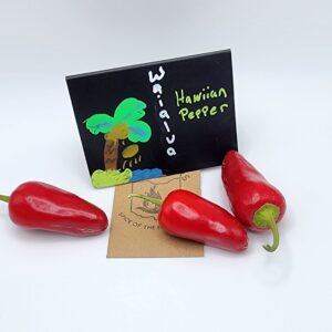 Waialua (Hawaiian Jalapeno)