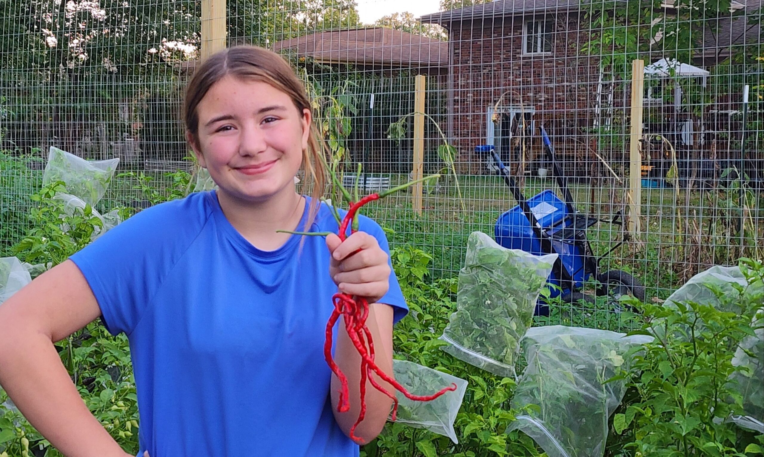 Thunder Mountain Longhorn - Image 6