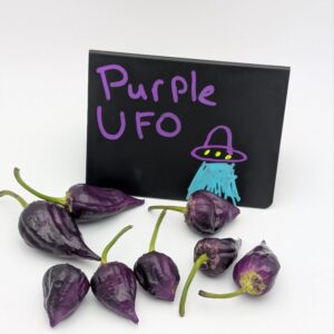 Purple UFO