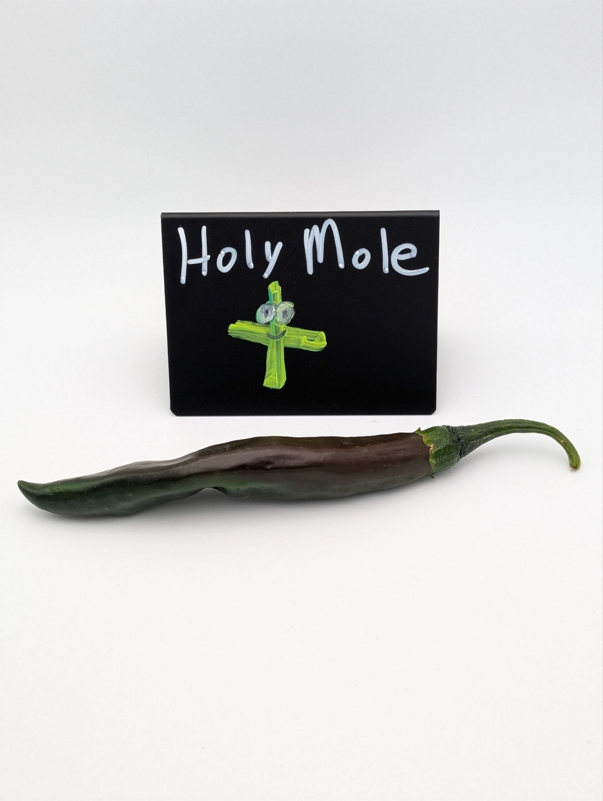 Holy Mole-y - Image 2