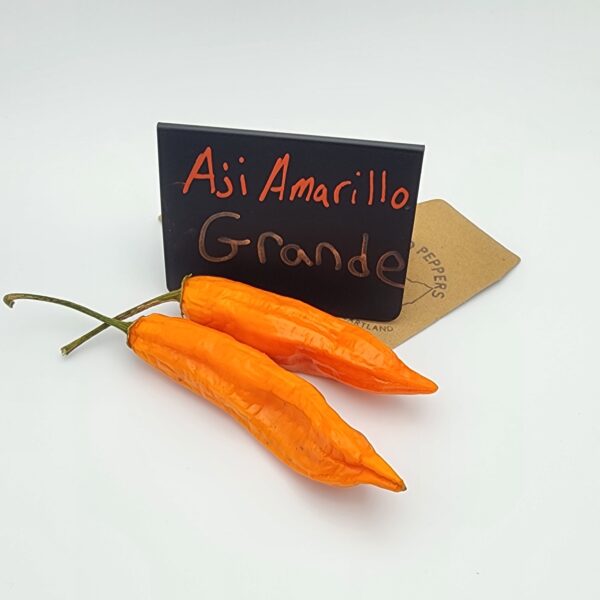 Aji Amarillo Grande