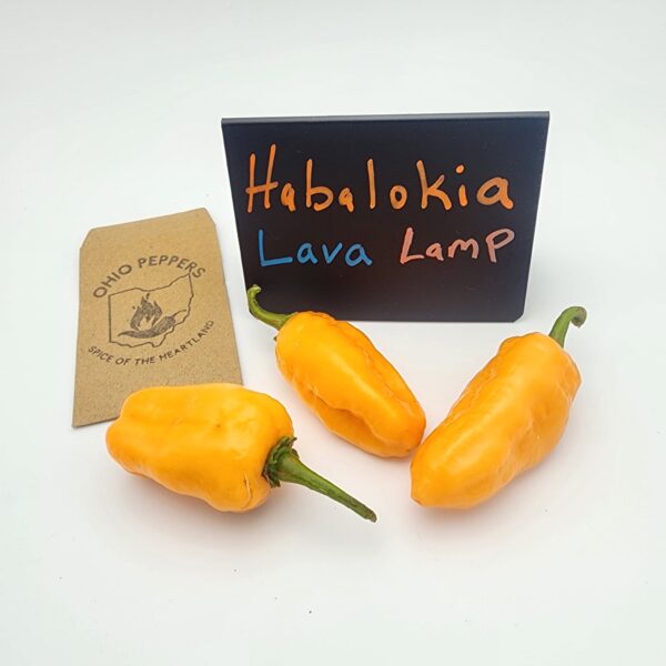 Habajalokia Peach Lavalamp