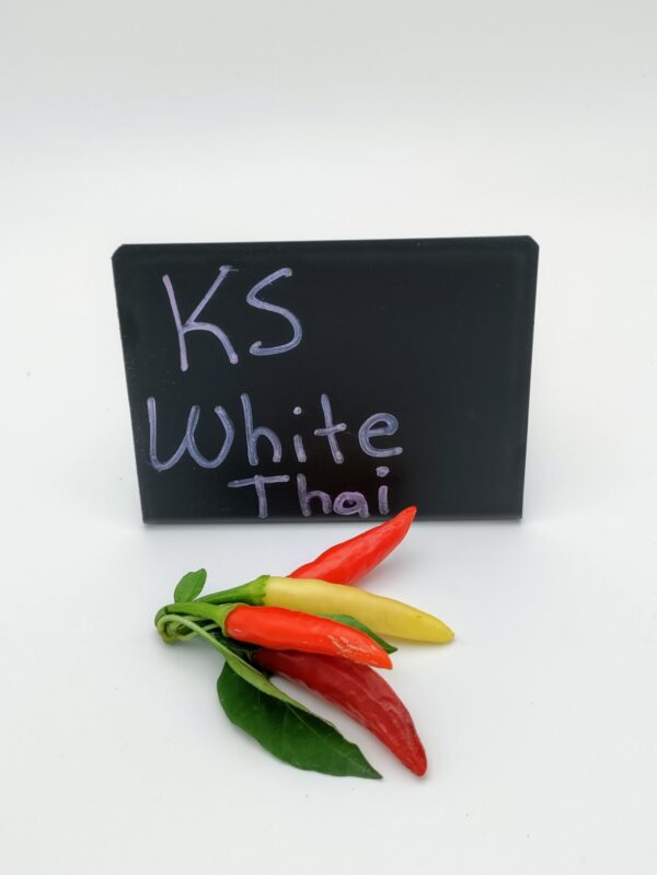 KS White Thai