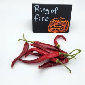Ring of Fire Cayenne