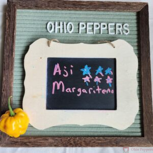 Aji Margariteno peppers on display