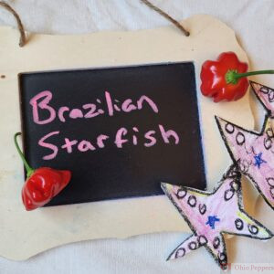 Brazilian Starfish pepper on display