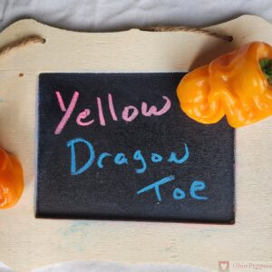 Yellow Dragon Toe Pepper Seeds for Sale