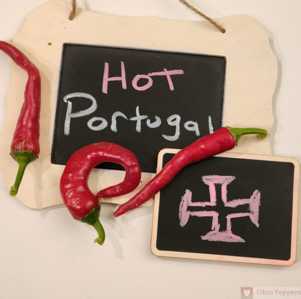 Hot Portugal Pepper Seeds for Sale