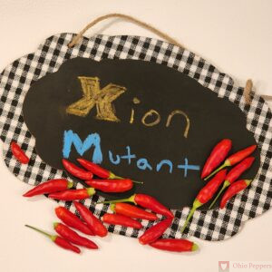 Xion Mutant pepper seeds