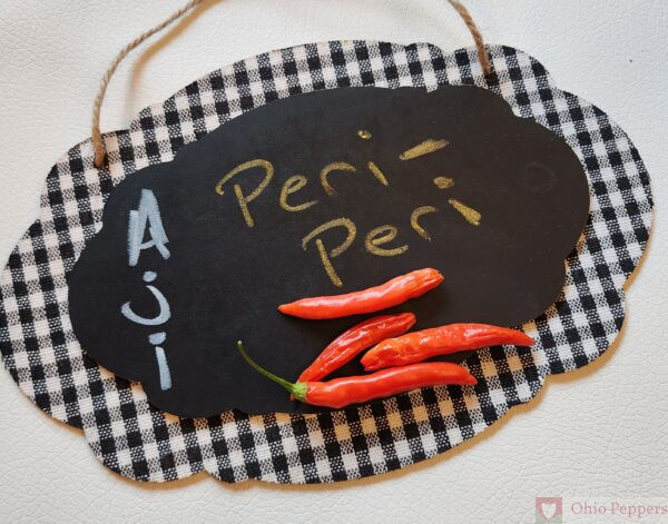 aji peri peri pepper seeds for sale
