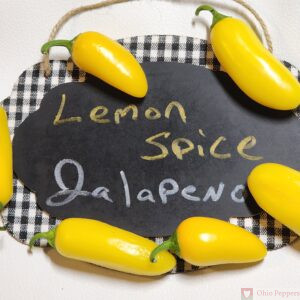 Lemon Spice Jalapeno pepper seeds for sale