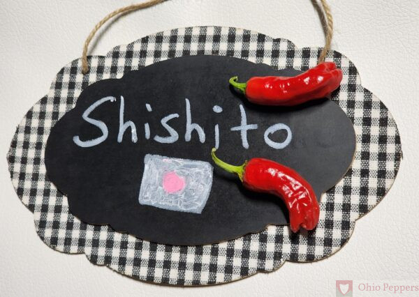 Shishito Pepper Seeds for Sale