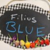 Filius Blue seeds for sale