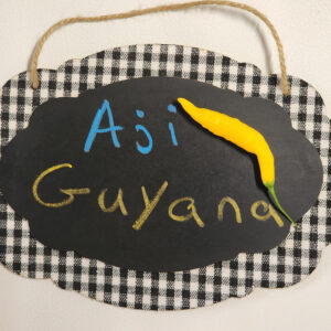 Aji Guyana seeds