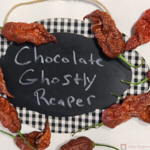 Chocolate Ghostly Reaper